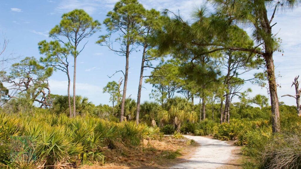 Caladesi Island State Park