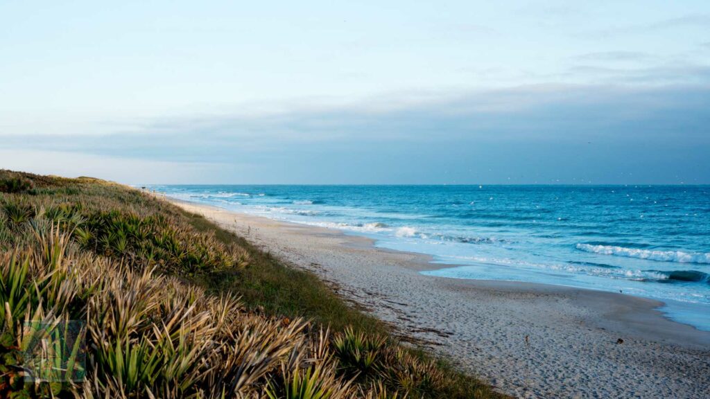 Canaveral National Seashore, Florida's Natural Wonders