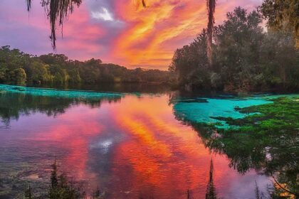 Florida's Natural Wonders