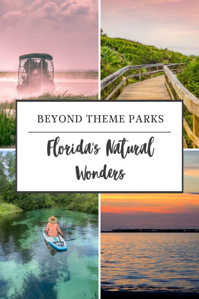 Florida's Natural Wonders Family-Friendly Adventures Beyond Theme Parks