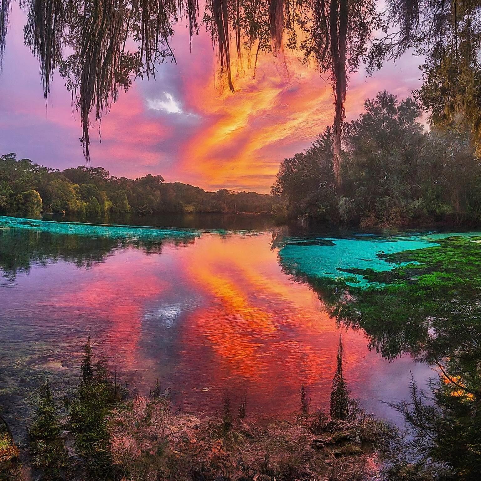 Florida's Natural Wonders