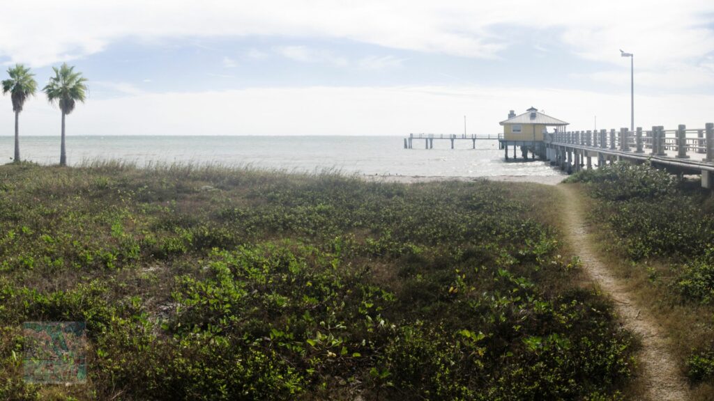 Fort De Soto Park Dog Beach
Dog-Friendly Florida Beach