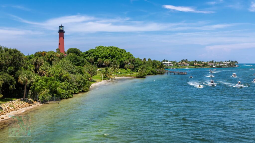 Jupiter Dog Beach Unleashed Fun in the Palm Beaches