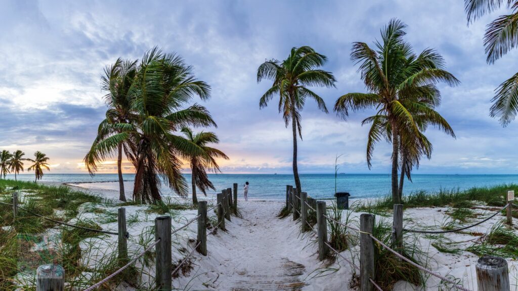 Key West Dog Beach