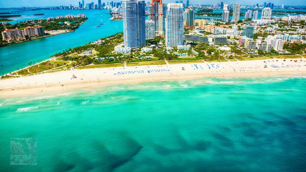 Miami Beach's Bark Beach