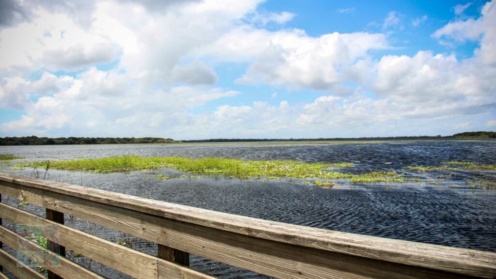 Myakka River State Park, Florida's Natural Wonders