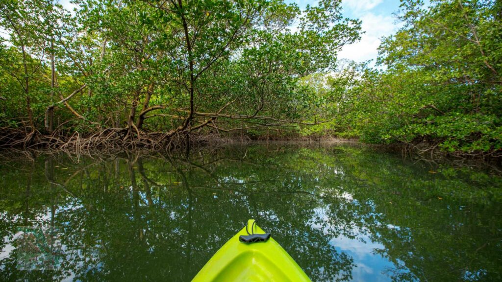 Oleta River State Park, Florida's Natural Wonders