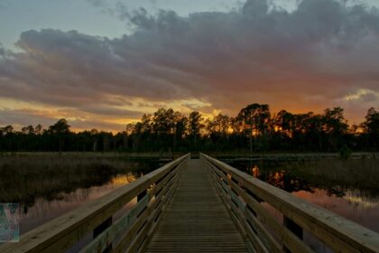 Family-Friendly Day Trips in Central Florida