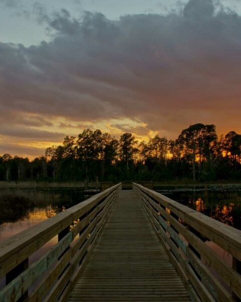 Family-Friendly Day Trips in Central Florida