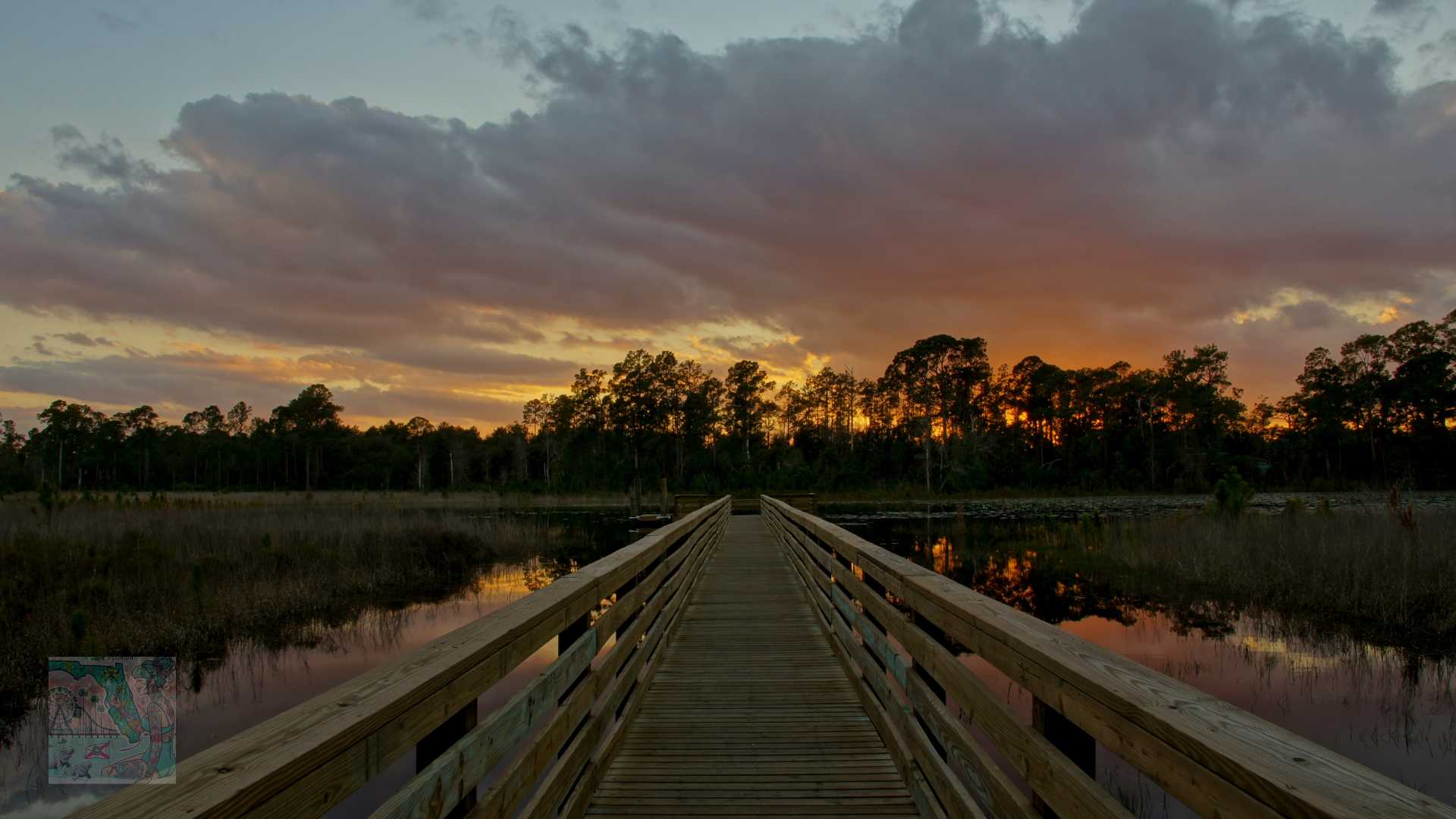 Family-Friendly Day Trips in Central Florida