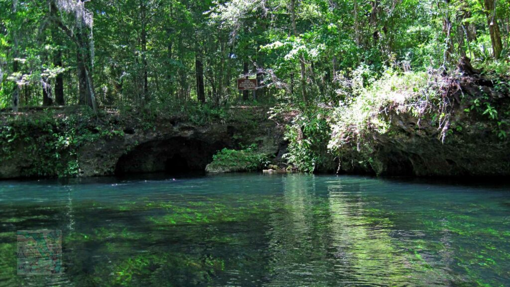 Ichetucknee Springs State Park