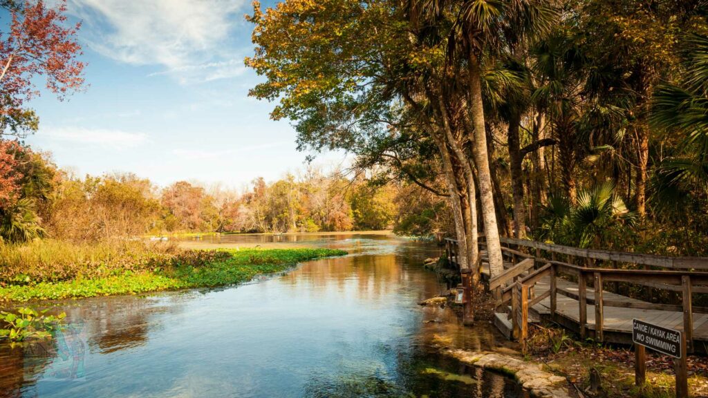 Wekiwa Springs State Park