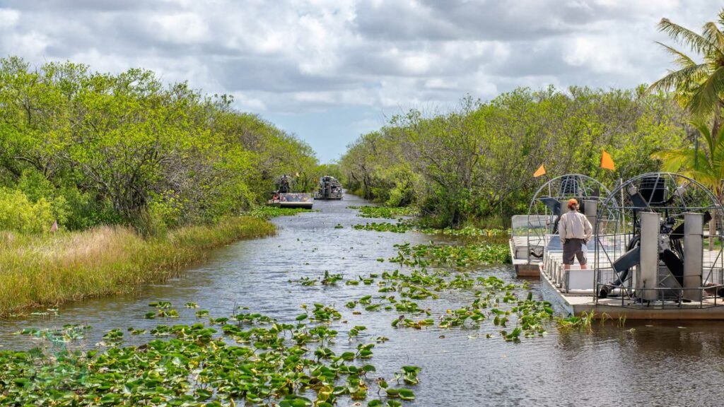 Wild Florida