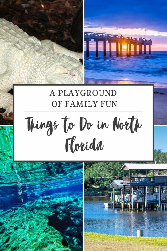 Your Guide to the Best Things to Do in North Florida