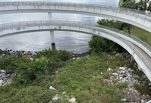 Clearwater Memorial Causeway Trail