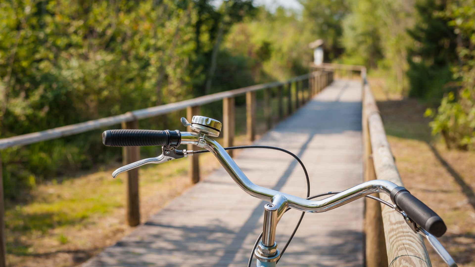 Florida biking trails