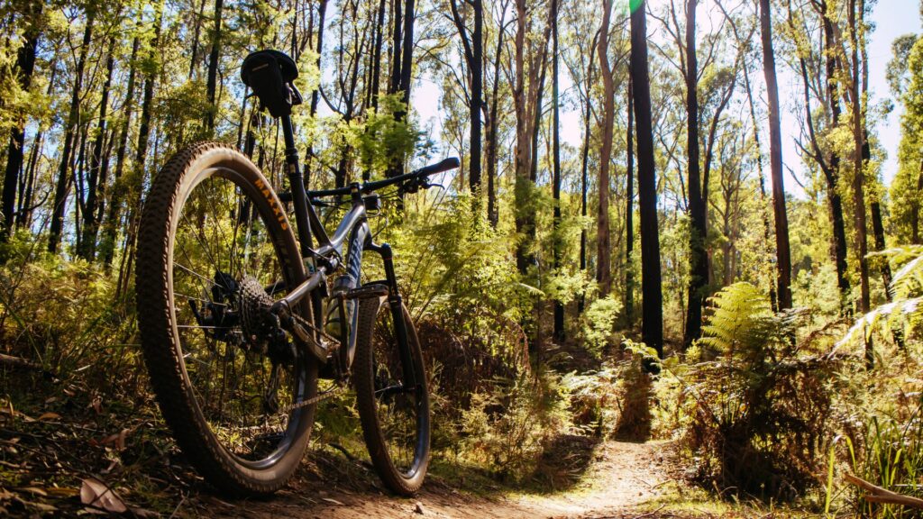 Top Scenic Biking Trails in Florida