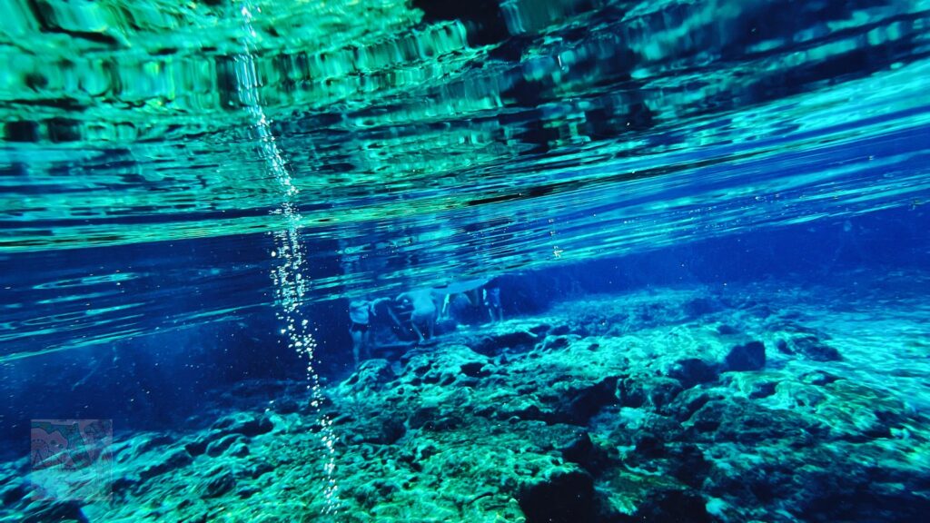 Ginnie Springs