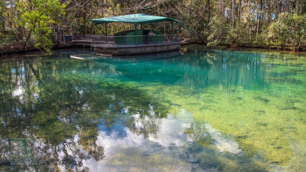 Homosassa Springs Wildlife State Park- natural springs in florida