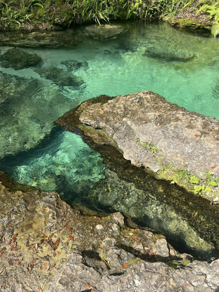 Rock Springs at Kelly Park