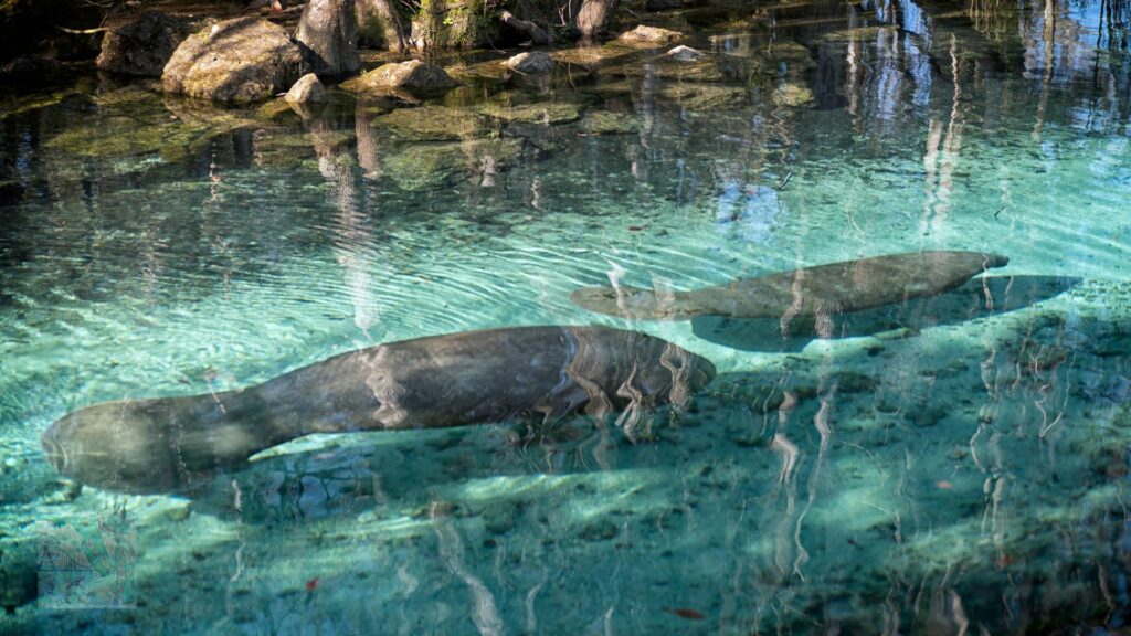 Three Sisters Springs