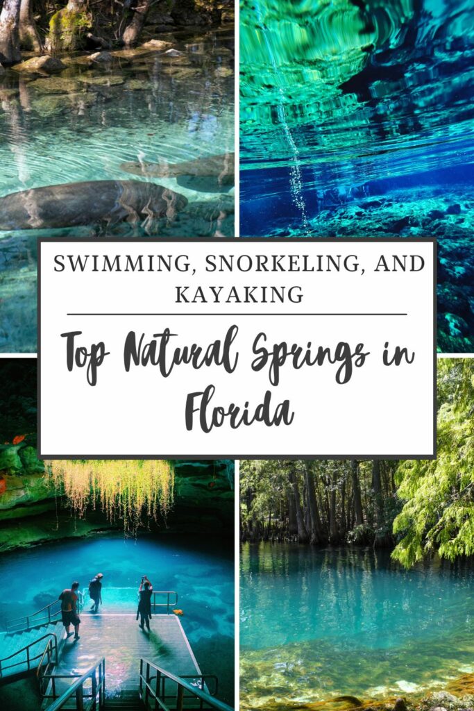 Top Natural Springs in Florida for Swimming, Snorkeling, and Kayaking