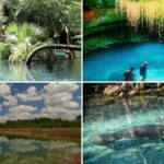 Top Natural Springs in Florida for Swimming, Snorkeling, and Kayaking