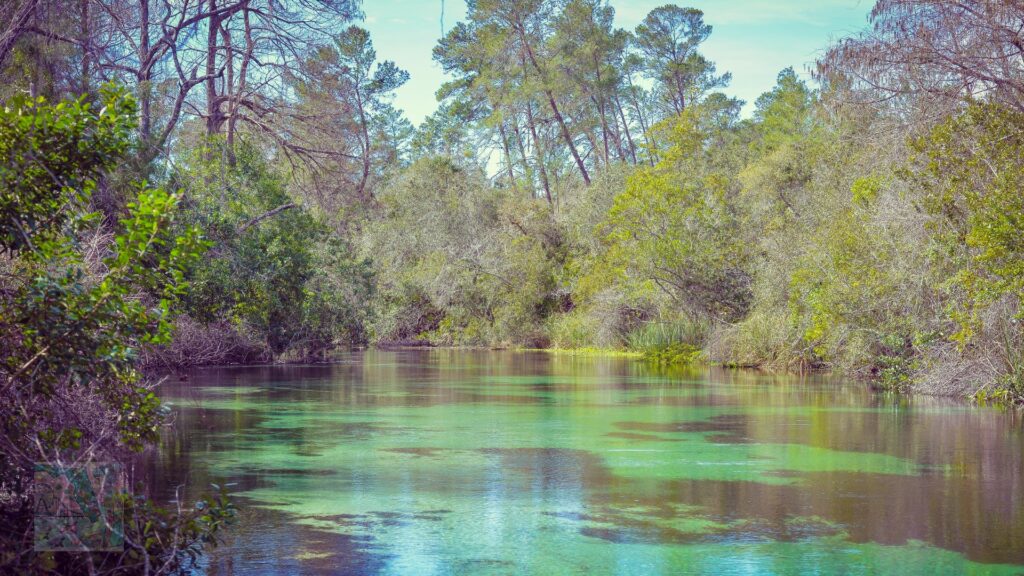 Weeki Wachee Springs State Park