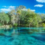 Family-Friendly Springs in Central FL