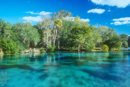 Family-Friendly Springs in Central FL