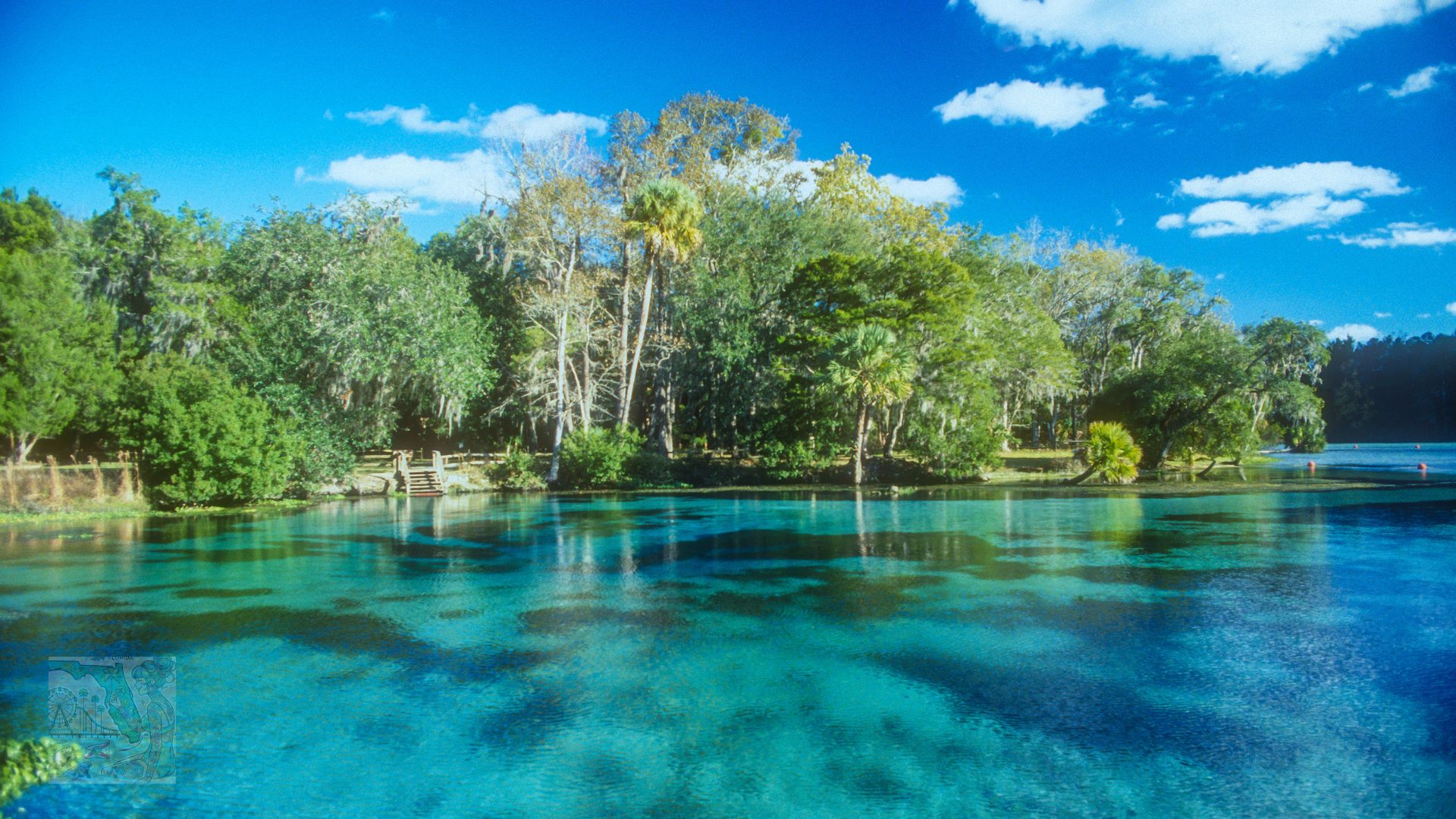 Family-Friendly Springs in Central FL