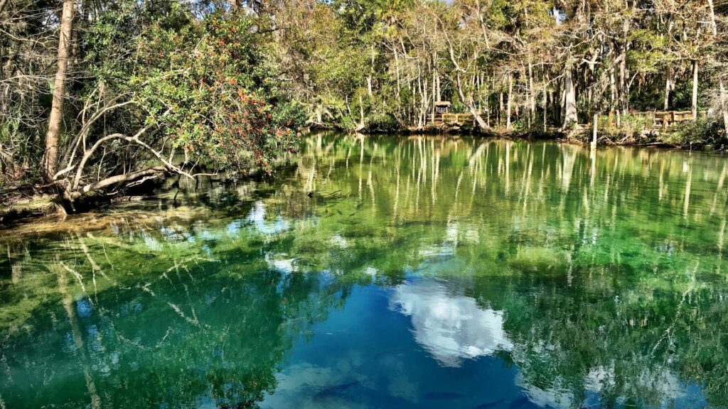 Homosassa Springs