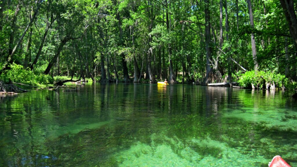 Ichetucknee Springs State Park
springs in central fl