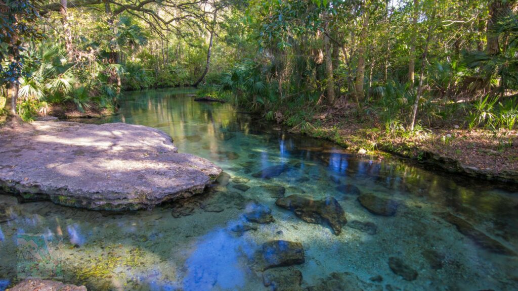 Top Family-Friendly Springs in Central FL